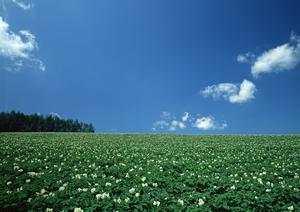 静岡県浜松市に新しく誕生した家族葬のタクセル佐鳴台：低価格・安心の家族葬専門斎場