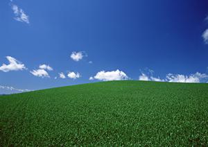 静岡県内の家族葬・火葬を低価格・高品質でサポート｜家族葬のタクセルの全て