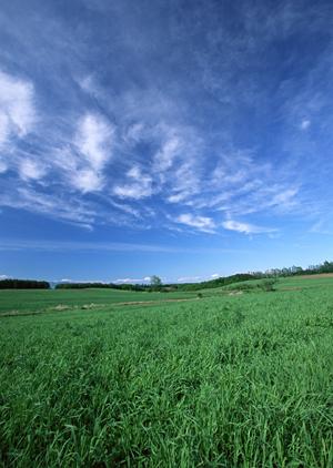 静岡市の家族葬・プライベート葬儀に最適な富士葬祭 唐瀬のご案内 ? 安心で丁寧な葬儀サポートを提供