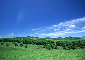 富士市の安心葬儀をサポートする【富士葬祭 富士松岡】?家族葬から大規模葬儀まで対応可能な斎場の特徴と利点