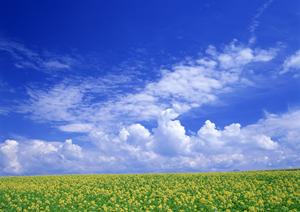 静岡市駿河区にある安心の家族葬・少人数葬儀をサポートする富士葬祭 聖一色の総合ガイド