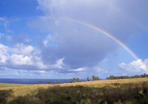 浜松市中央区にある【富士葬祭 森田町】：安心の家族葬と充実の設備を備えた葬儀場