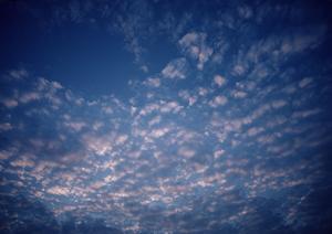 静岡市葵区に新規オープンした家族葬のタクセル新伝馬｜低価格・安心の家族葬専用斎場